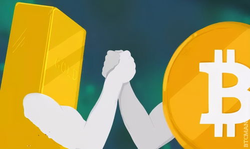 世界上用比特币交易的国家