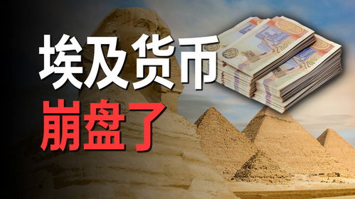 空中比特币俱乐部被抓