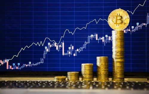 比特币总公司是哪里人