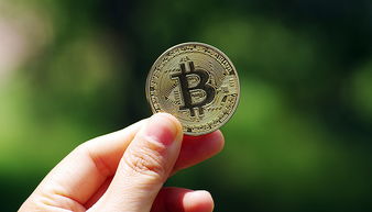 比特币是一个软件吗