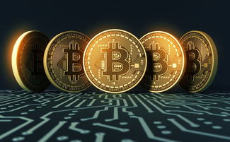 美国比特币现货etf
