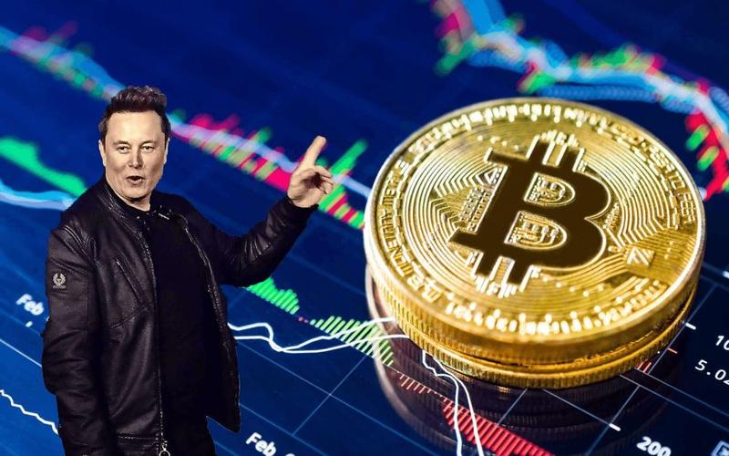 预测比特币最准的人