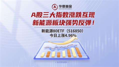 新能源板块未来走势