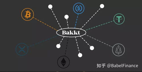 比特币矿机托管公司
