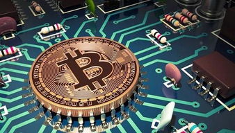 比特元虚拟币最新消息