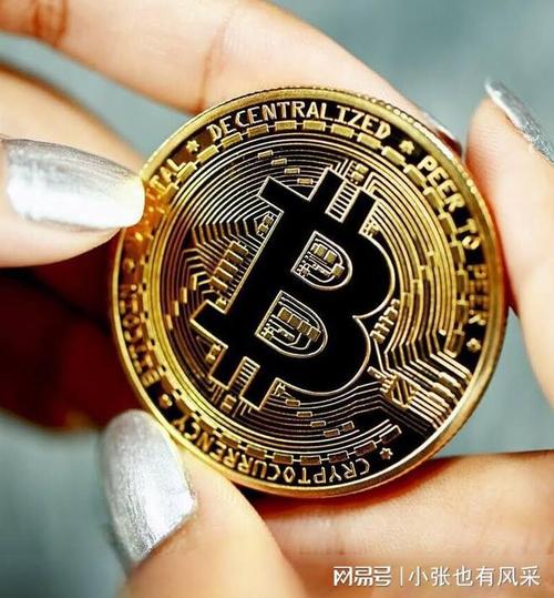 比特币持币地址排名查询