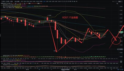 为什么只有比特币成功了
