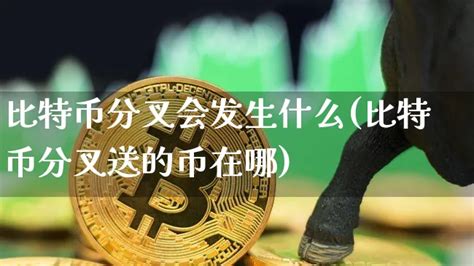 比特币分叉币排名