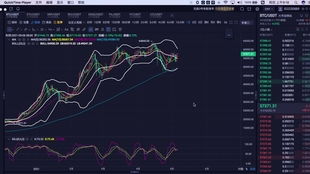 姚勇杰比特币