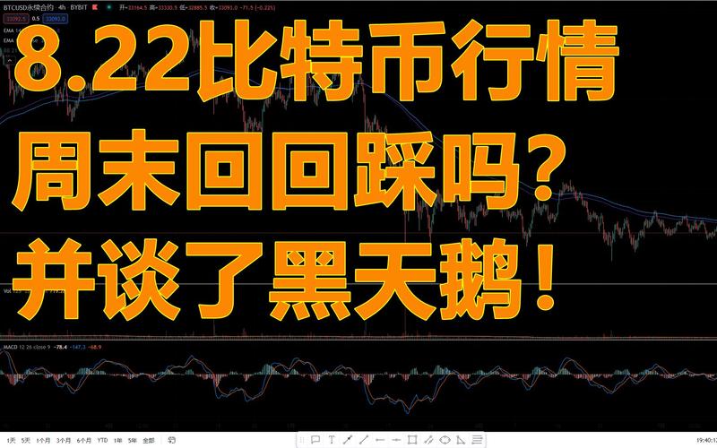 比特币黑天鹅事件合集