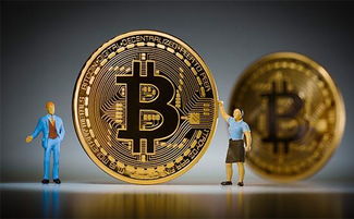 比特币钱包发送收款申请