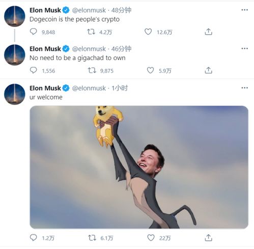 比特币挖矿宝是什么意思