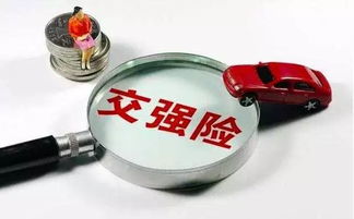 新能源汽车保险查询