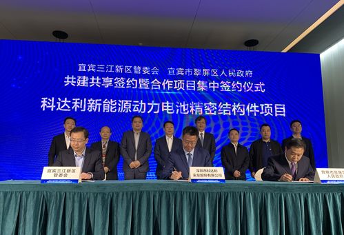 新能源实现盈利的品牌