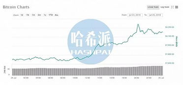比特币资管平台怎么样