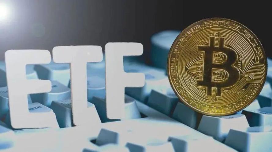 中国演说家说比特币的视频