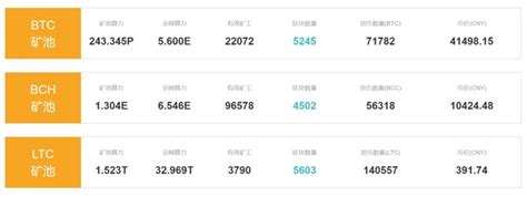 被比特币搞垮的国家