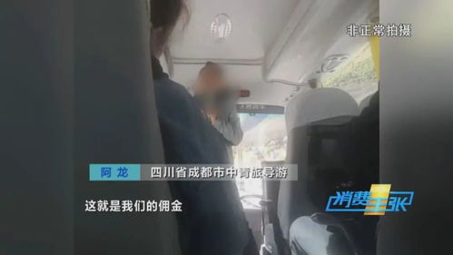 比特币数据视频