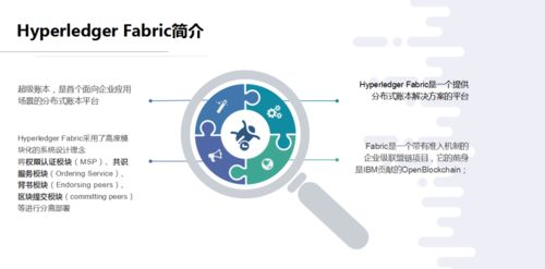 探索区块链技术的魅力