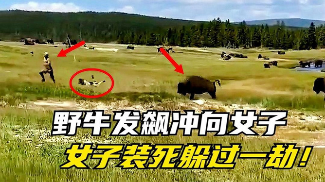 济南疫情五线谱，揭秘本轮疫情的传播链条