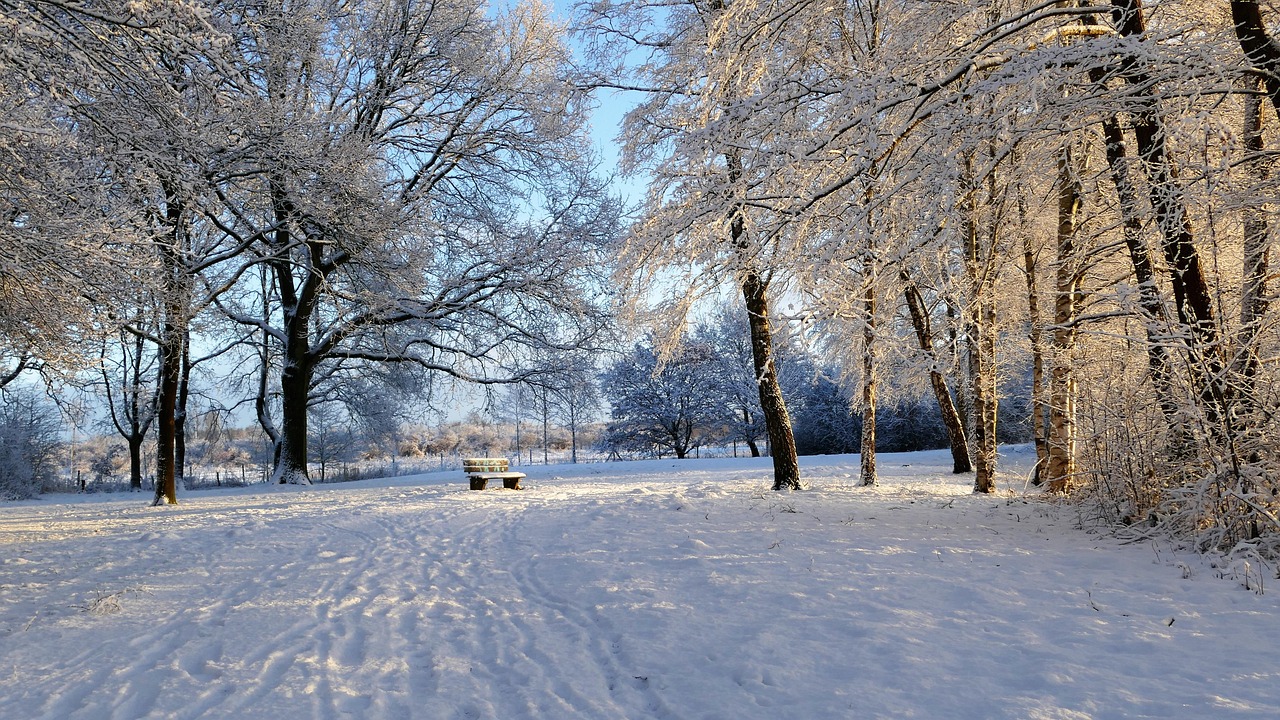哈尔滨的冬日童话，江莎莎与冰雪奇缘