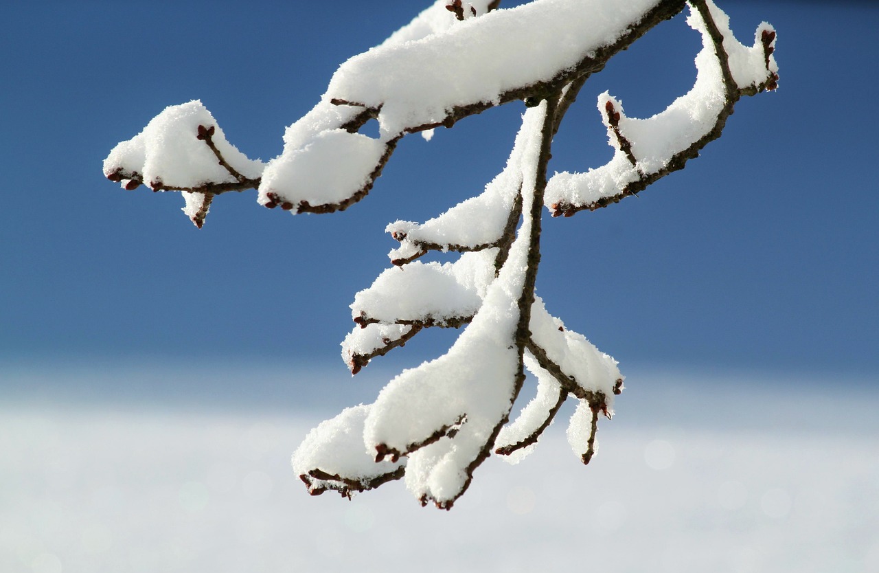 冰雪盛宴，2022年冬季奥运会，时间的魔法