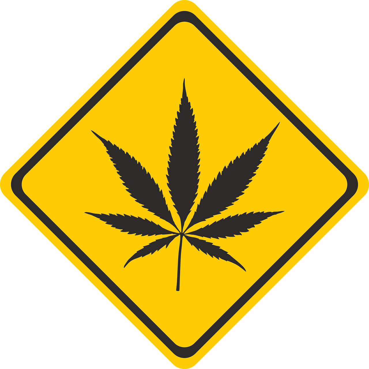 广州疫情风险等级，守护羊城的健康盾牌