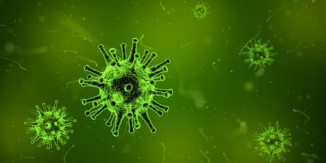 探索微生物世界，细菌科教视频的奇妙之旅